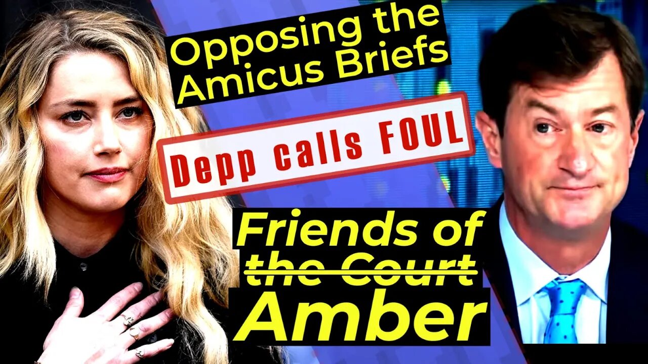 Ben Chew is NOT IMPRESSED with the Amicus Curiae briefs! Depp Opposition brief - Attorney Analysis