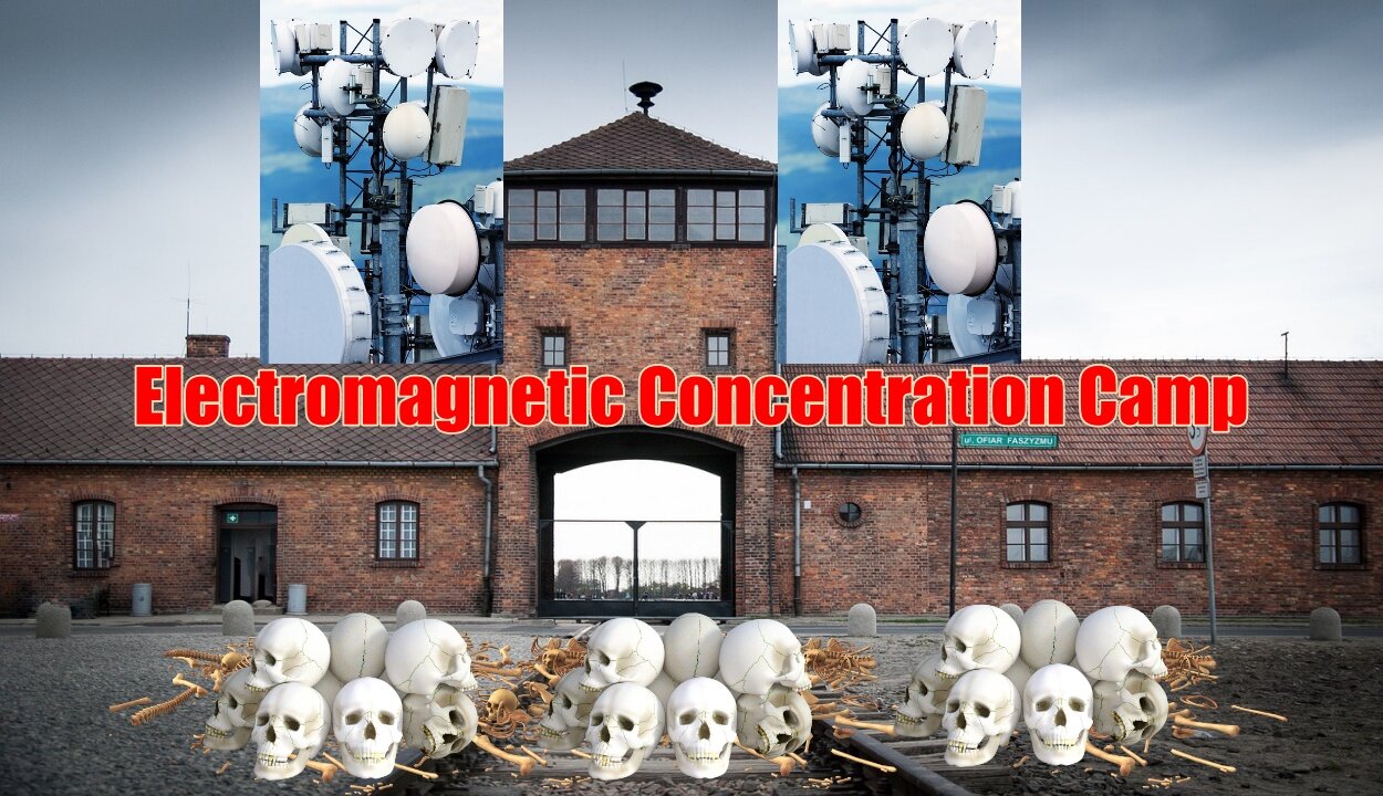 Welcome to Your Electromagnetic Concentration Camp - Targeted Individuals and Everyone Else
