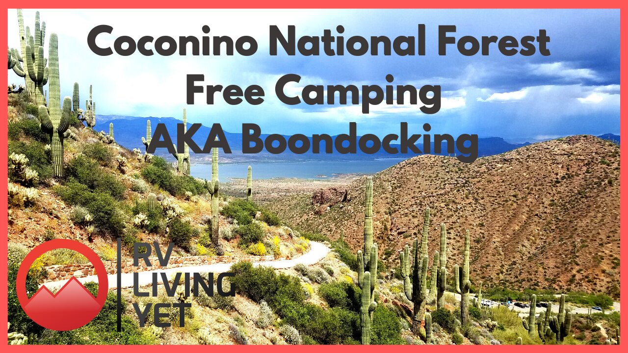 Coconino National Forest Arizona Free Camping