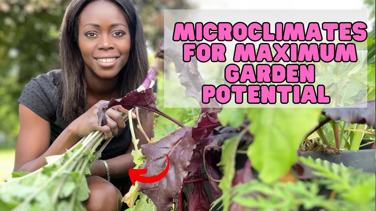 Maximizing Your Gardens Potential: Understanding and Utilizing Microclimates