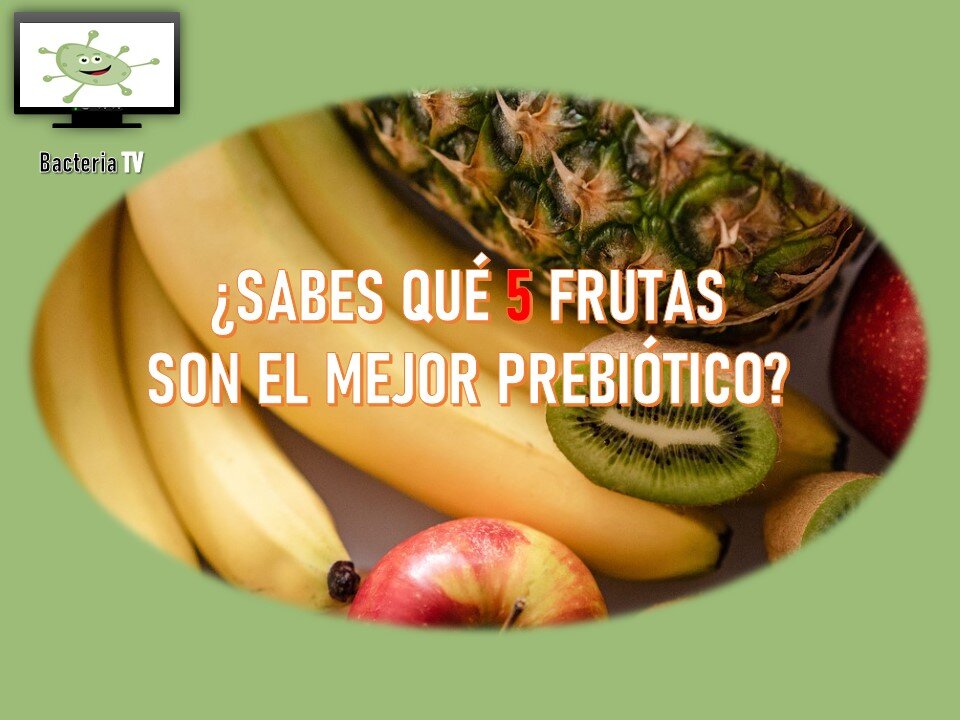 ¿SABES QUÉ 5 FRUTAS SON EL MEJOR PREBIÓTICO?