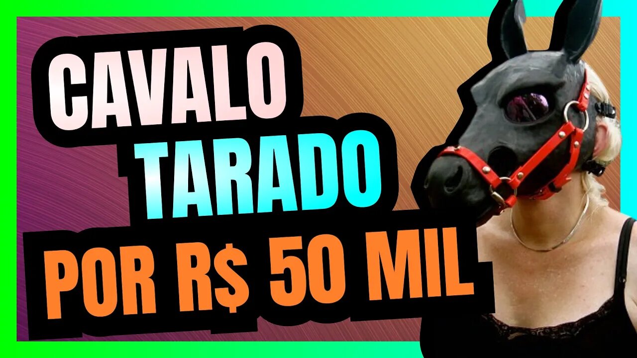 CAVALO TARADO recebe R$ 50 MIL da Prefeitura do RIO DE JANEIRO, mas esse não é o MAIOR PROBLEMA