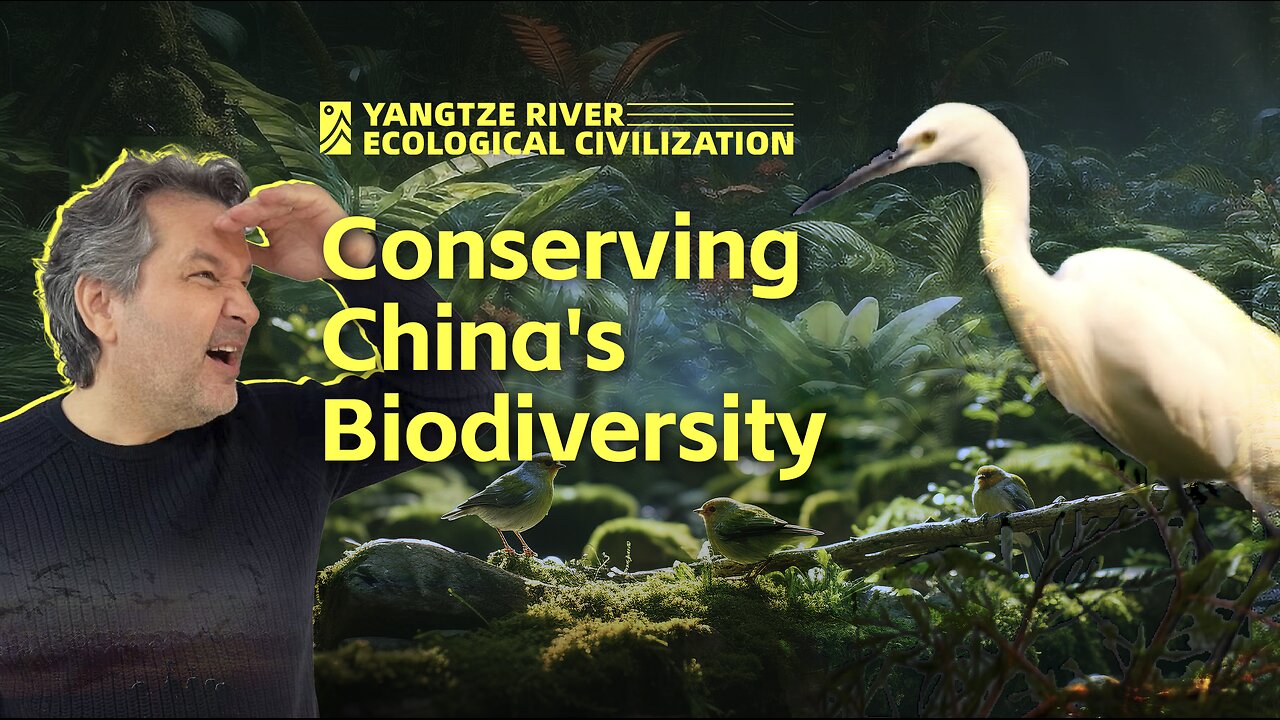 Chongqings Chinas Efforts in Conserving Biodiversity