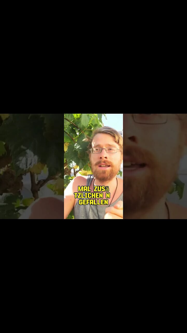 Warum Laub wertvoll für deinen Garten ist #shorts