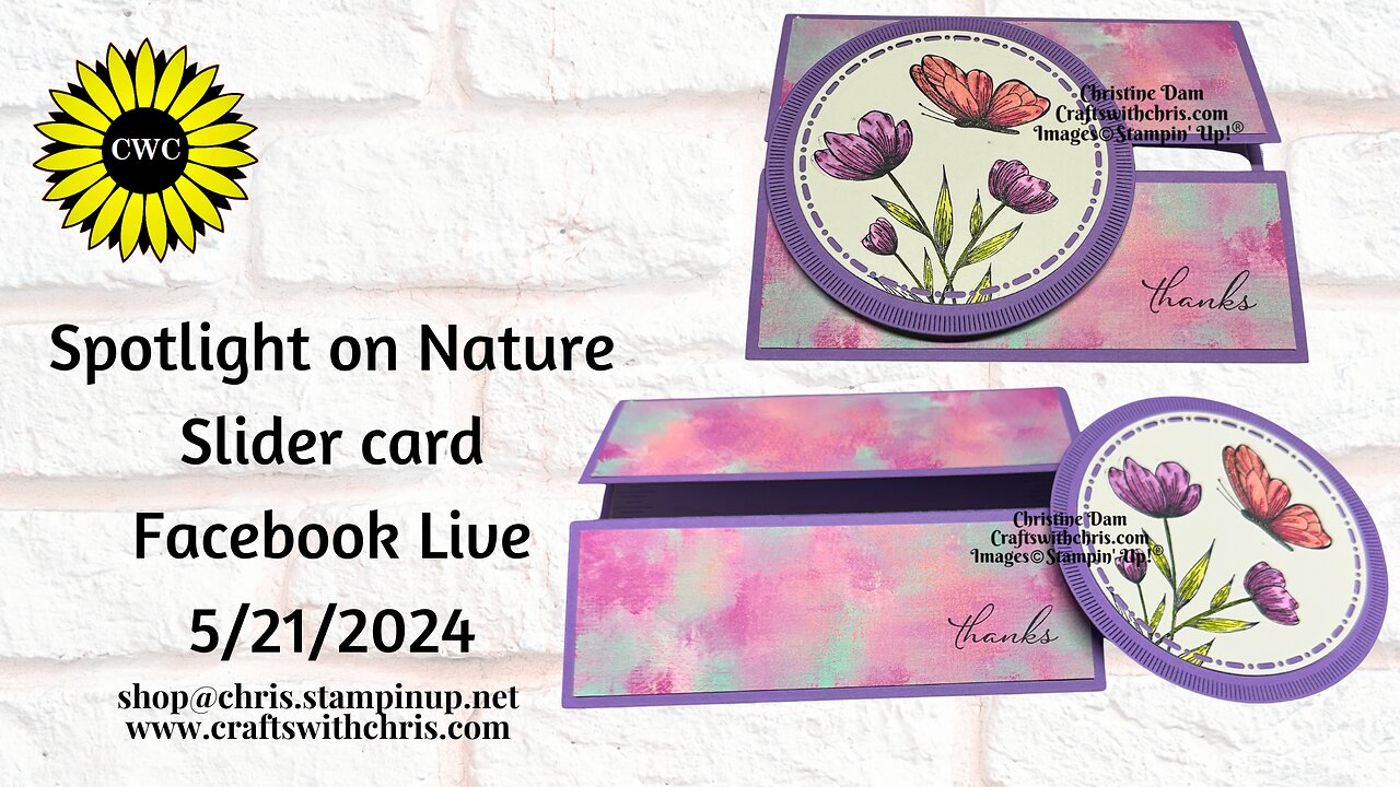Stampin Up! Spotlight on Nature: Easy Slider Card for Beginners