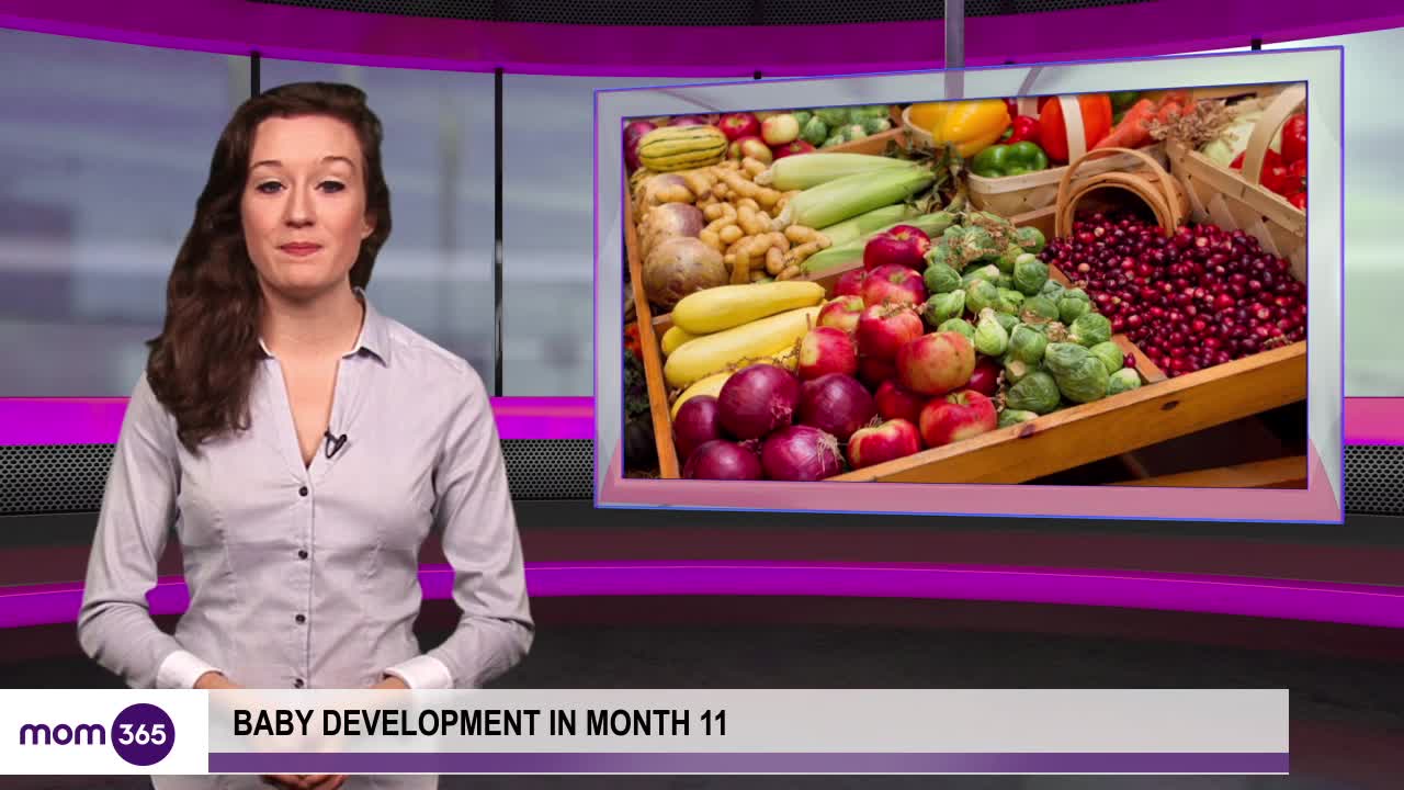 Your Babys Development at Month 11