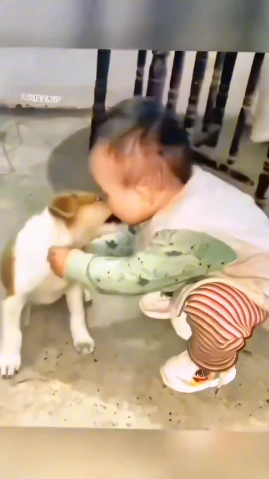 Funny video