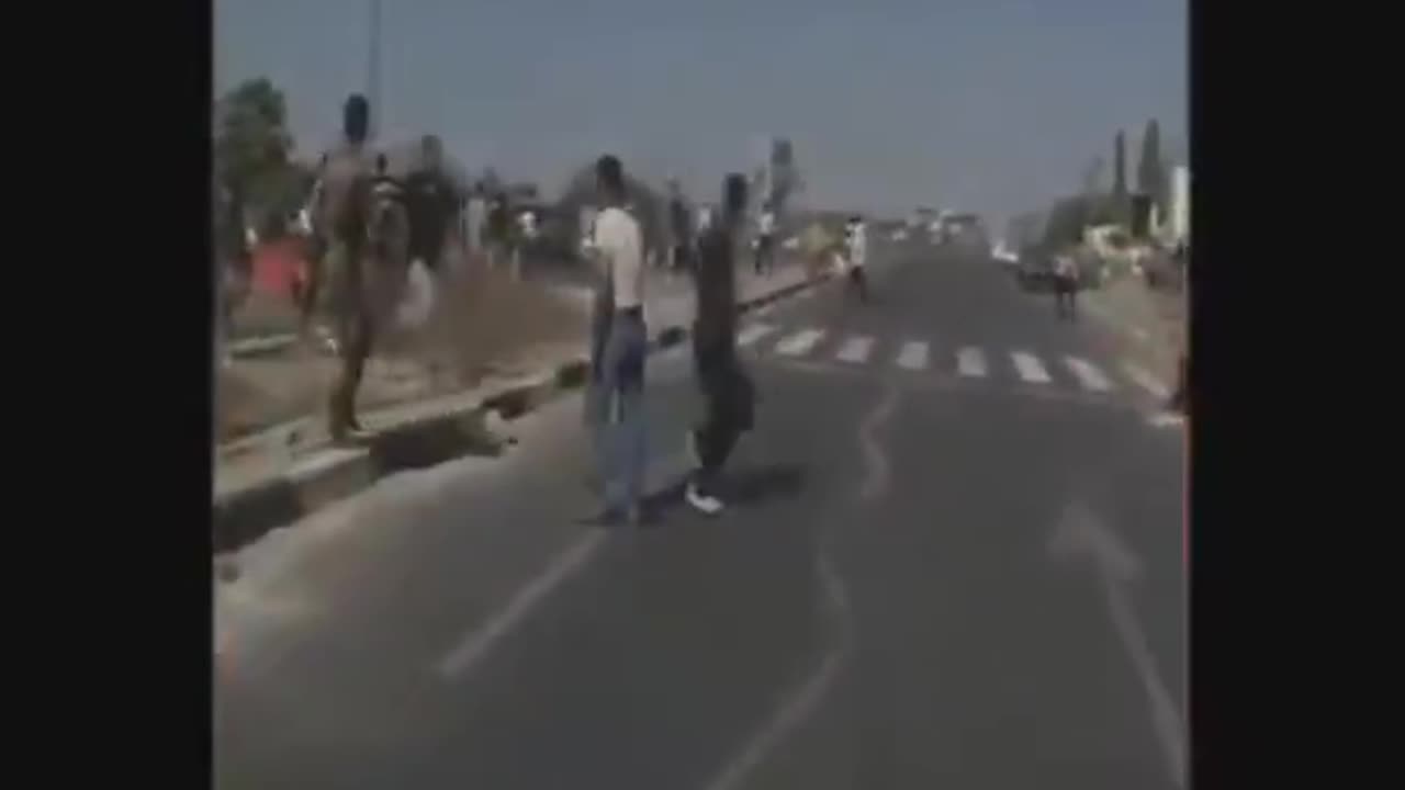 PALLYWOOD - Wag The Dog