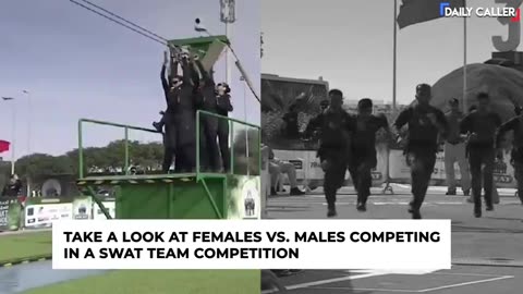TheDC Shorts - SWATTED: Females Get DEMOLISHED in Swat Team Competition