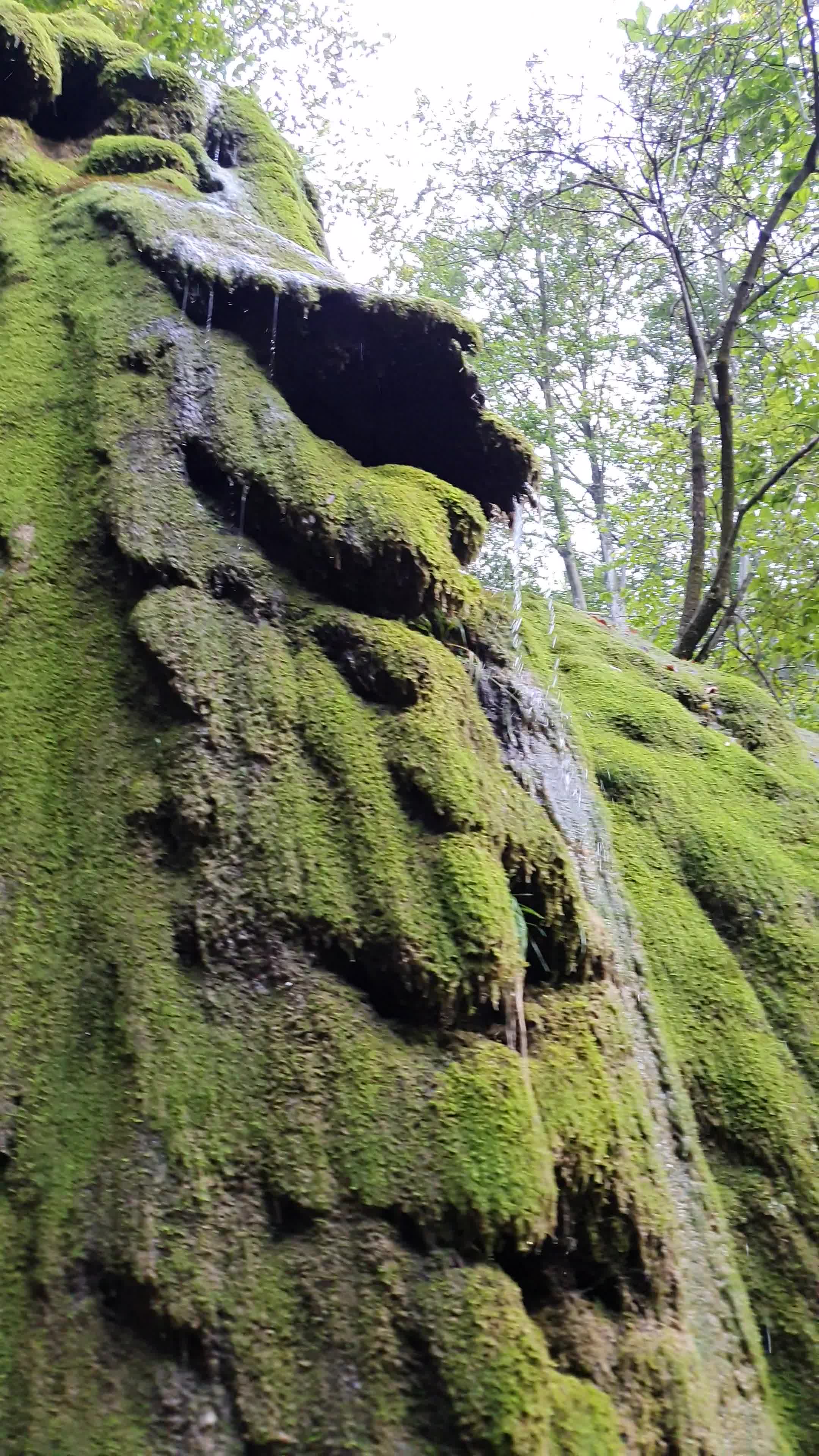 Beusnita waterfall