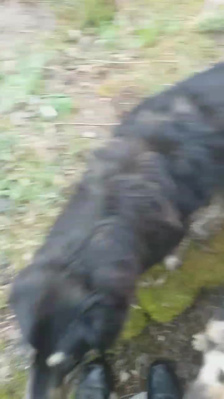 Abbai 2