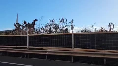 Fences Going Up In Maui, Guards Everywhere, No Fly Zone-Geoff Cygnus 8.27.23