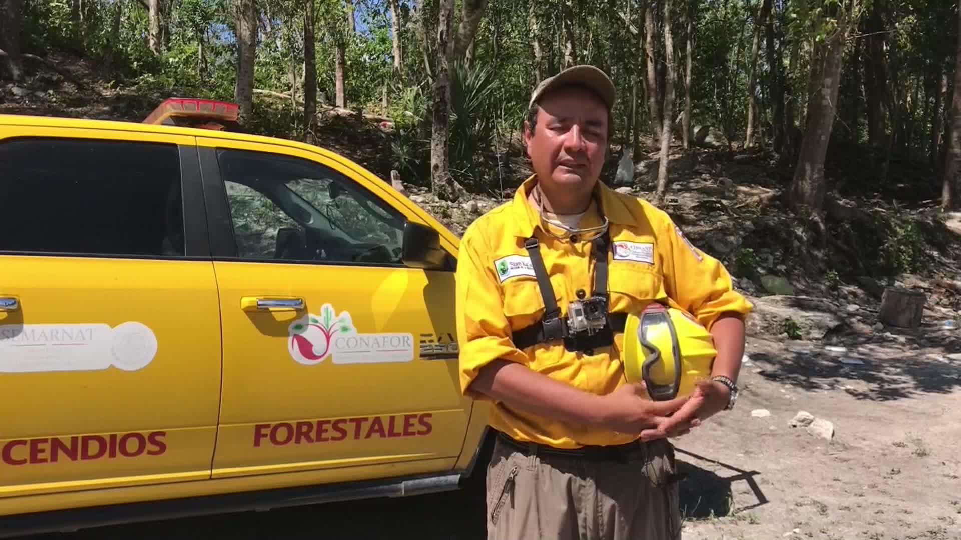 Daños por incendios en reserva natural mexicana de Sian Kaan podrían persistir 200 años