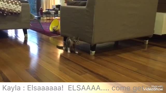 Nothing can stop these two besties from playing
