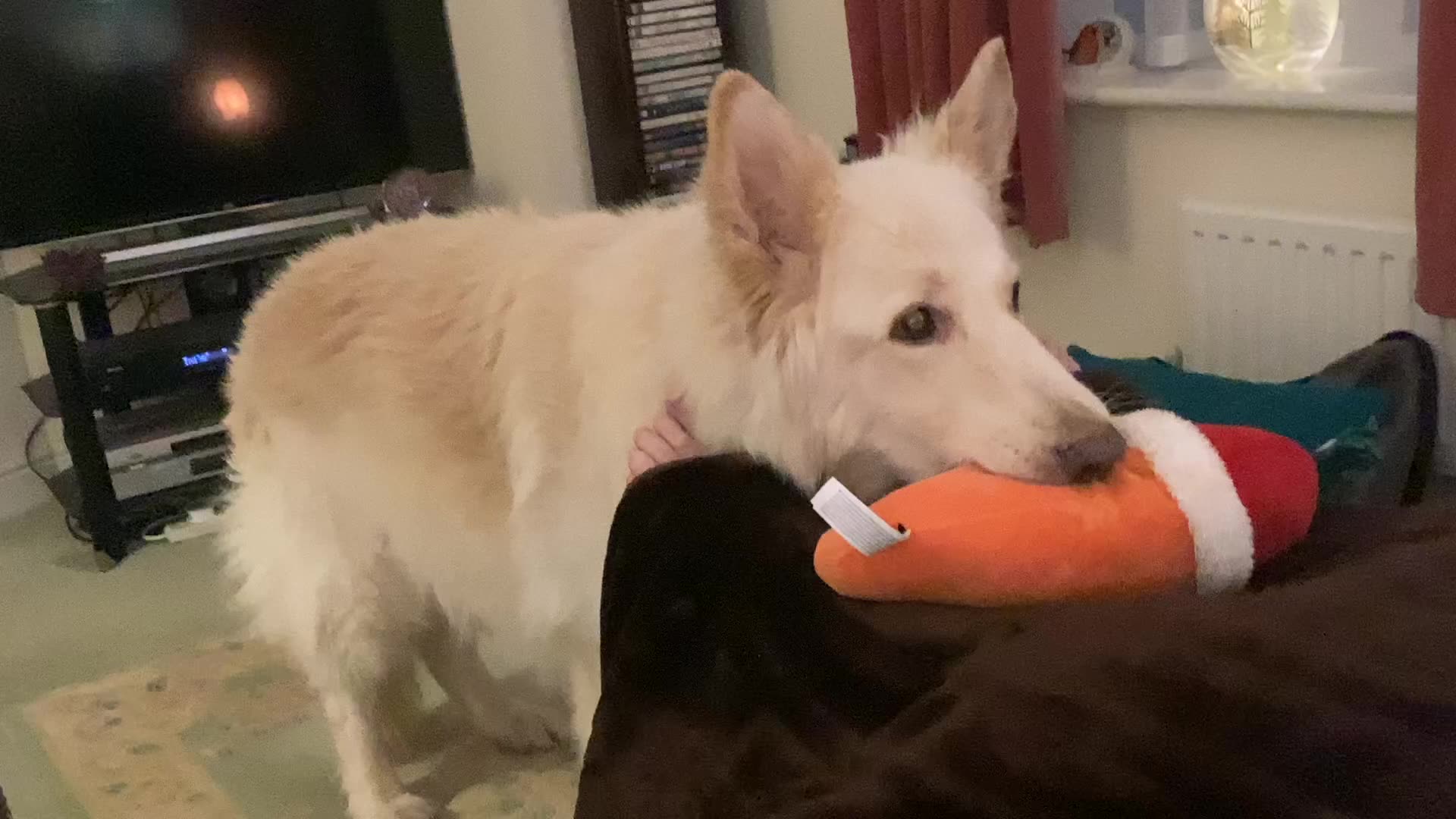 Im 11 Today