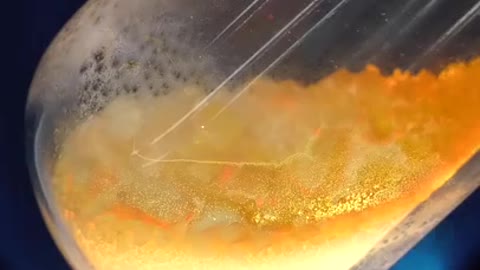 This is what happens when you burn zinc and sulfur...