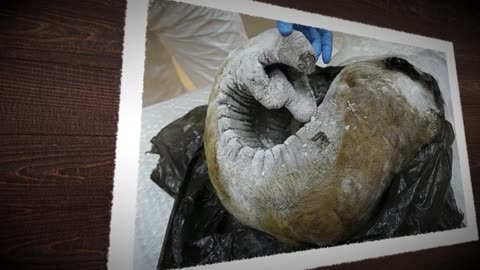 What a Camera Captures in Russia Shocked the Whole World.