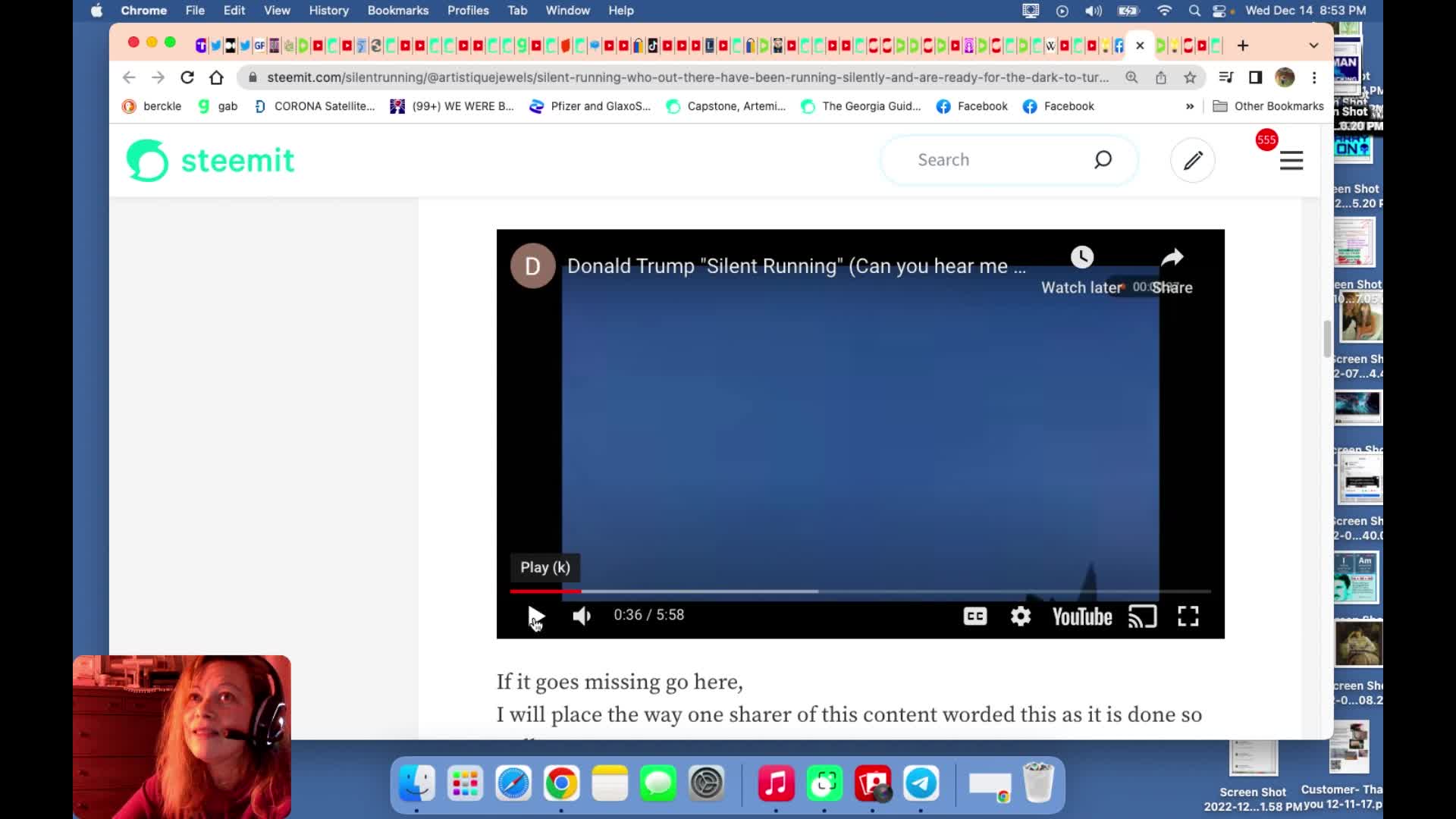 Flying ships on Ascension Island? Wideawake Airfield. Goose surgery. FB censors human trafficking