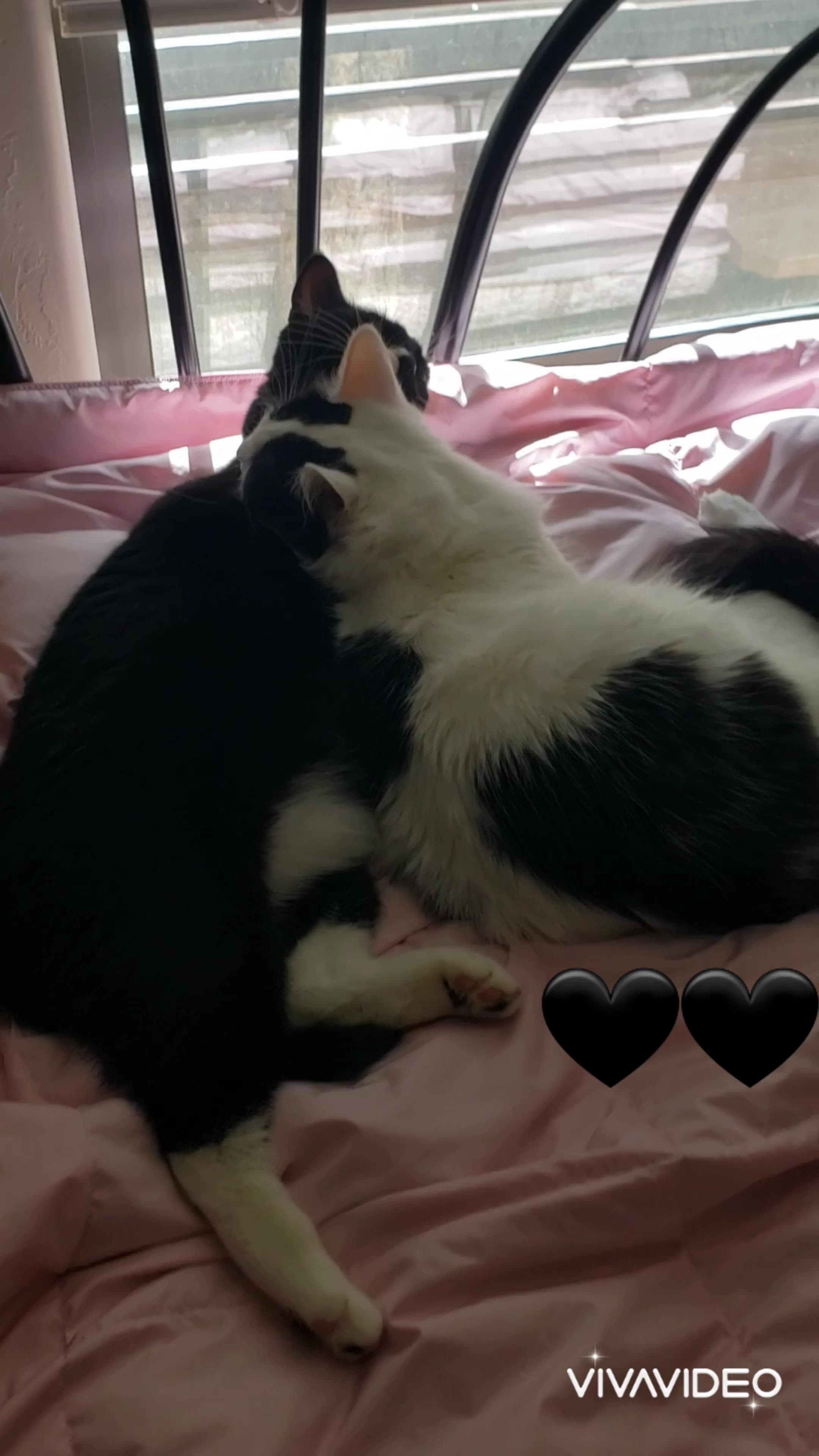 Sweet girls