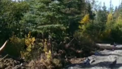 Alaska living offgrid