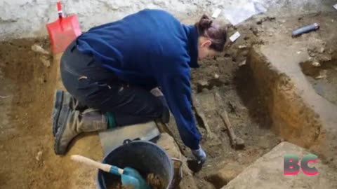 Accidental Basement Find Reveals Dozens of Centuries-Old Skeletons