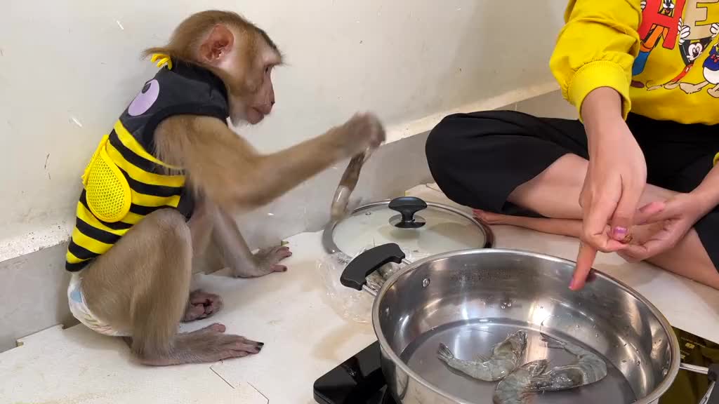 Smart Money Help Cooking