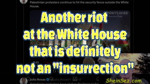 Another riot at the White House that is definitely not an "insurrection" -SheinSez 413