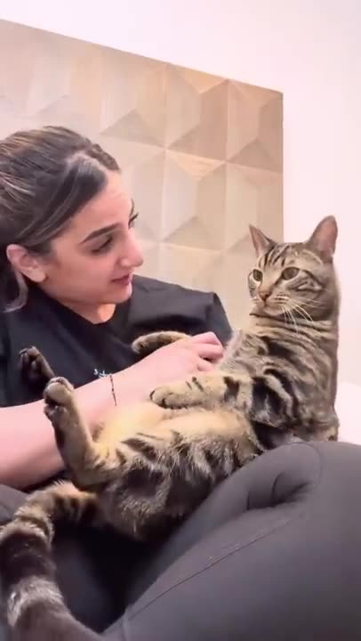 funny pet