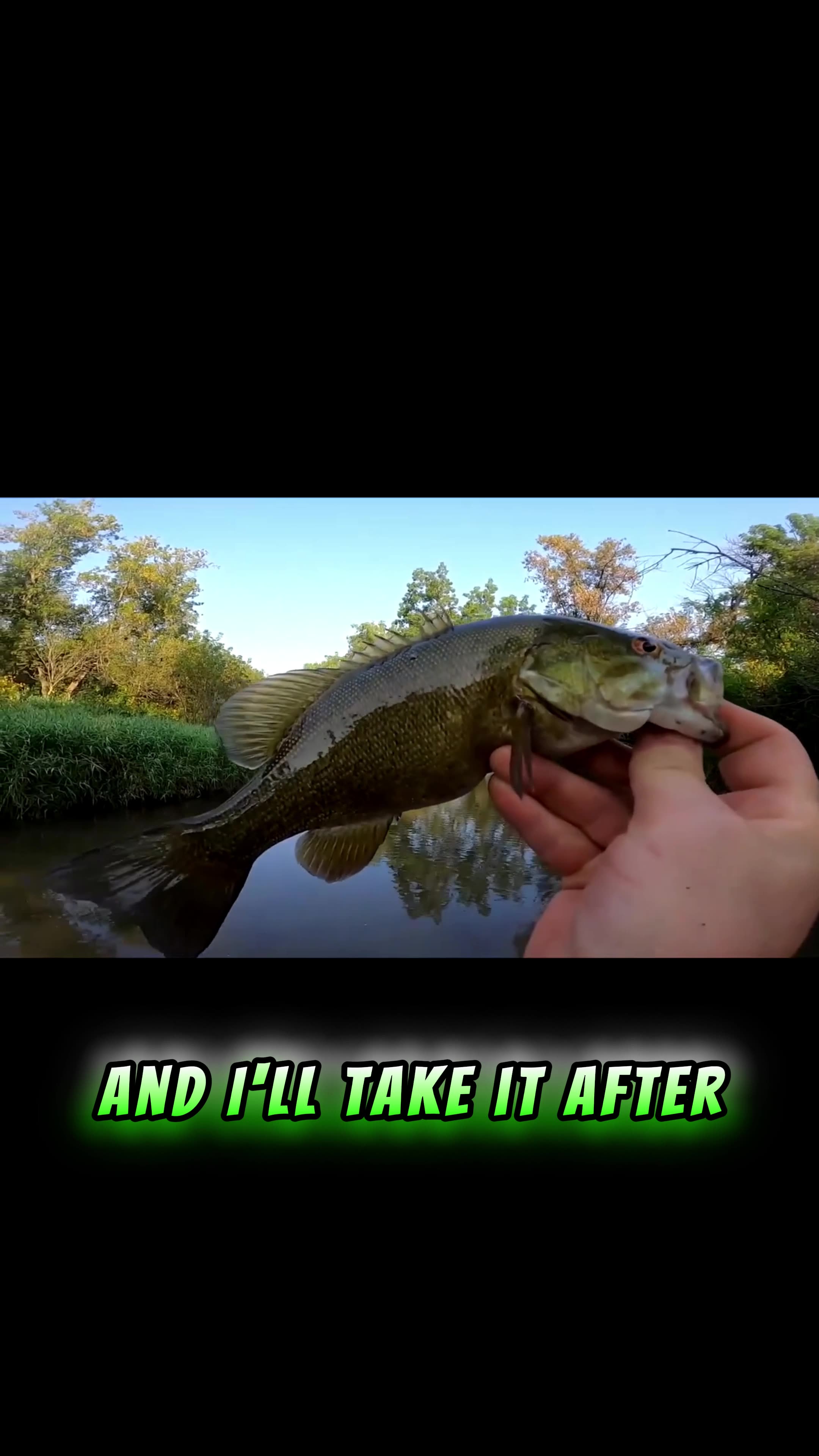 First Catch of the Day! #shorts