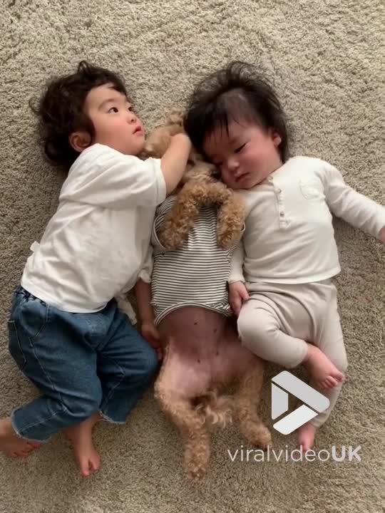 3 peas in a pod
