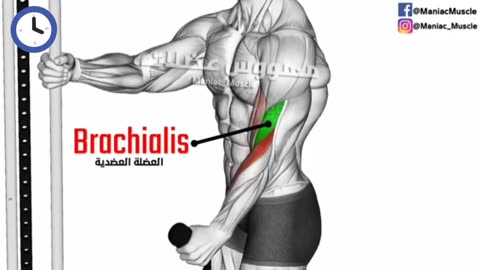 9 BEST Exercises for WIDER Biceps | Build Big, Strong Arms‎