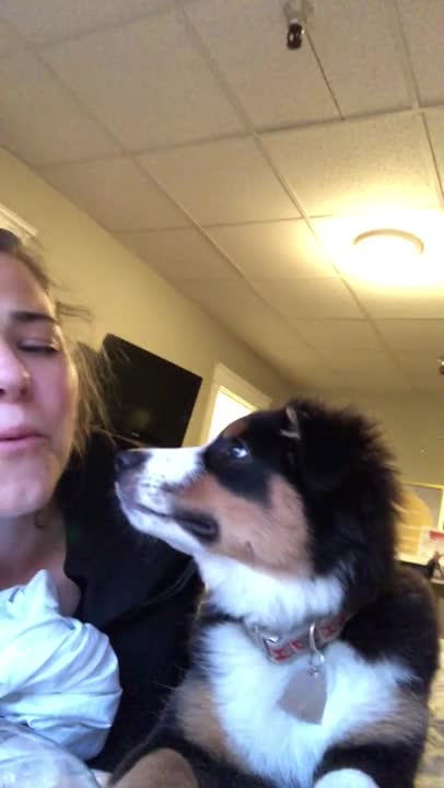 The dog kisses his girlfriend on the mouth