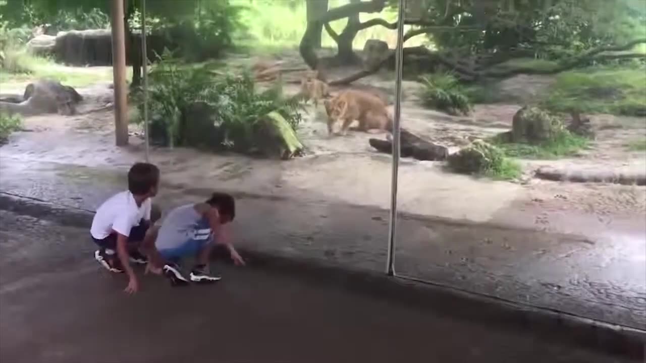 Cant Stop Laughing: The Funniest Videos of 2023