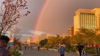 Stunning Rainbow Fills New York Sky