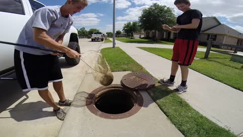 Teenager Fishes Giant Mudcat Out Of Storm Sewer