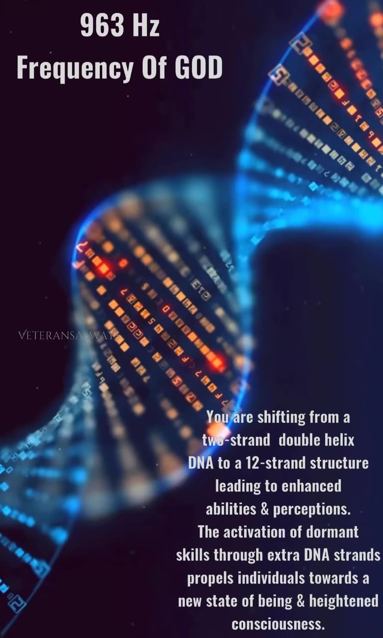 shifting from a two-strand double helix DNA to a 12-strand structure