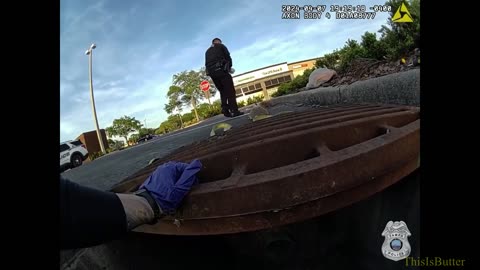 Ducklings trapped in sewer rescued by Tampa officers