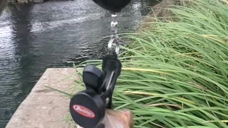Urban Bass fishin in Texas