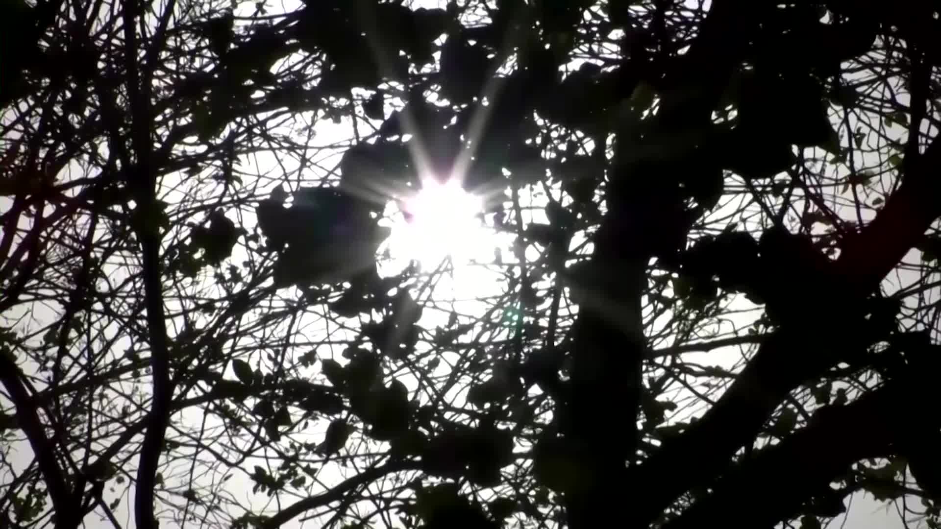 Pakistans hottest cities battle extreme heatwave