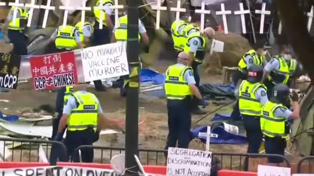 Jacinda Arderns minions destroy freedom camp in front of Parliament House in Wellington where thousands had gathered against covid tyranny.