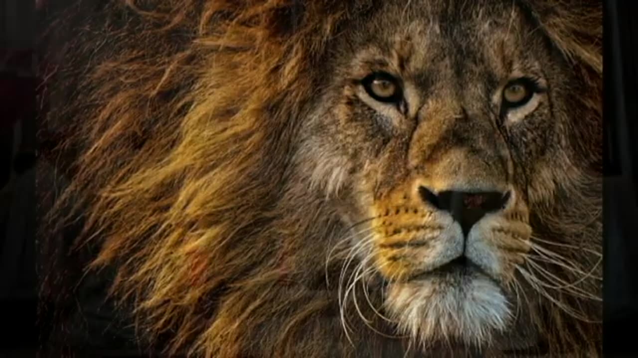 🔴¡TRAIDORES A ESPAÑA! 📢 DEMÓCRATAS, CONSTITUCIONALISTAS, EUROPEÍSTAS 💥⚔ ¡ARRIBA ESPAÑA ETERNA! 💥⚔