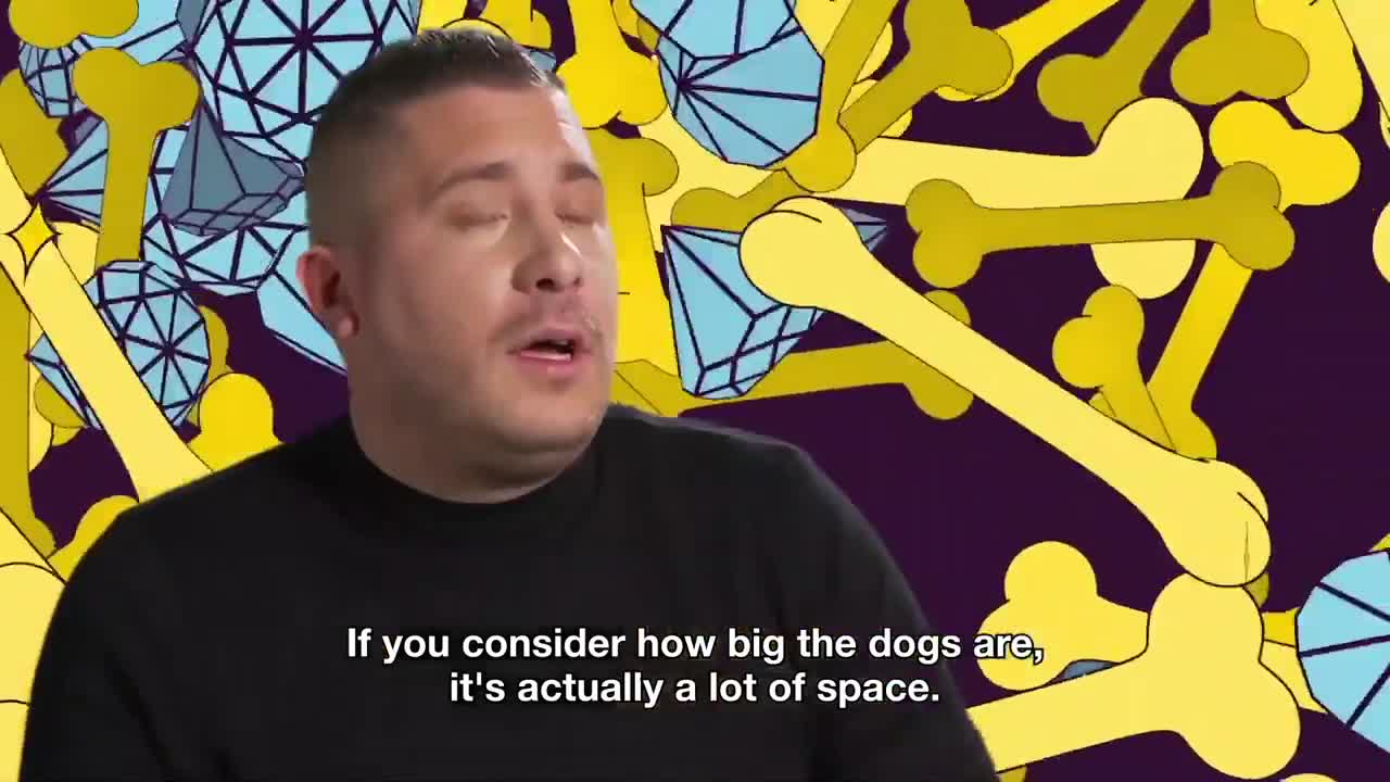 Ep 1: The Dog That Drives Ferraris The Rich Dogs Of Instagram