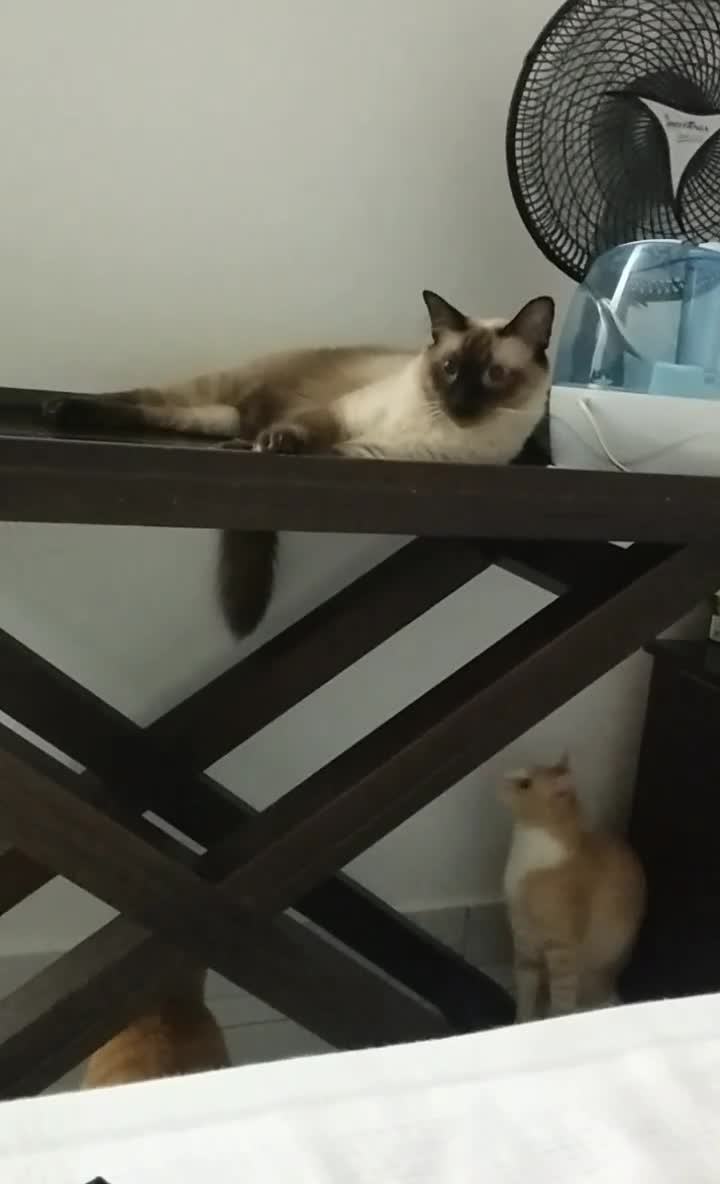 Silent Attack