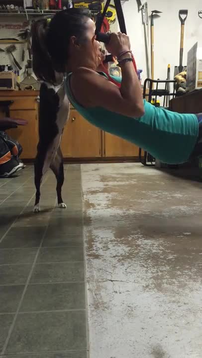 Terco cachorro se une al ejercicio de su dueña