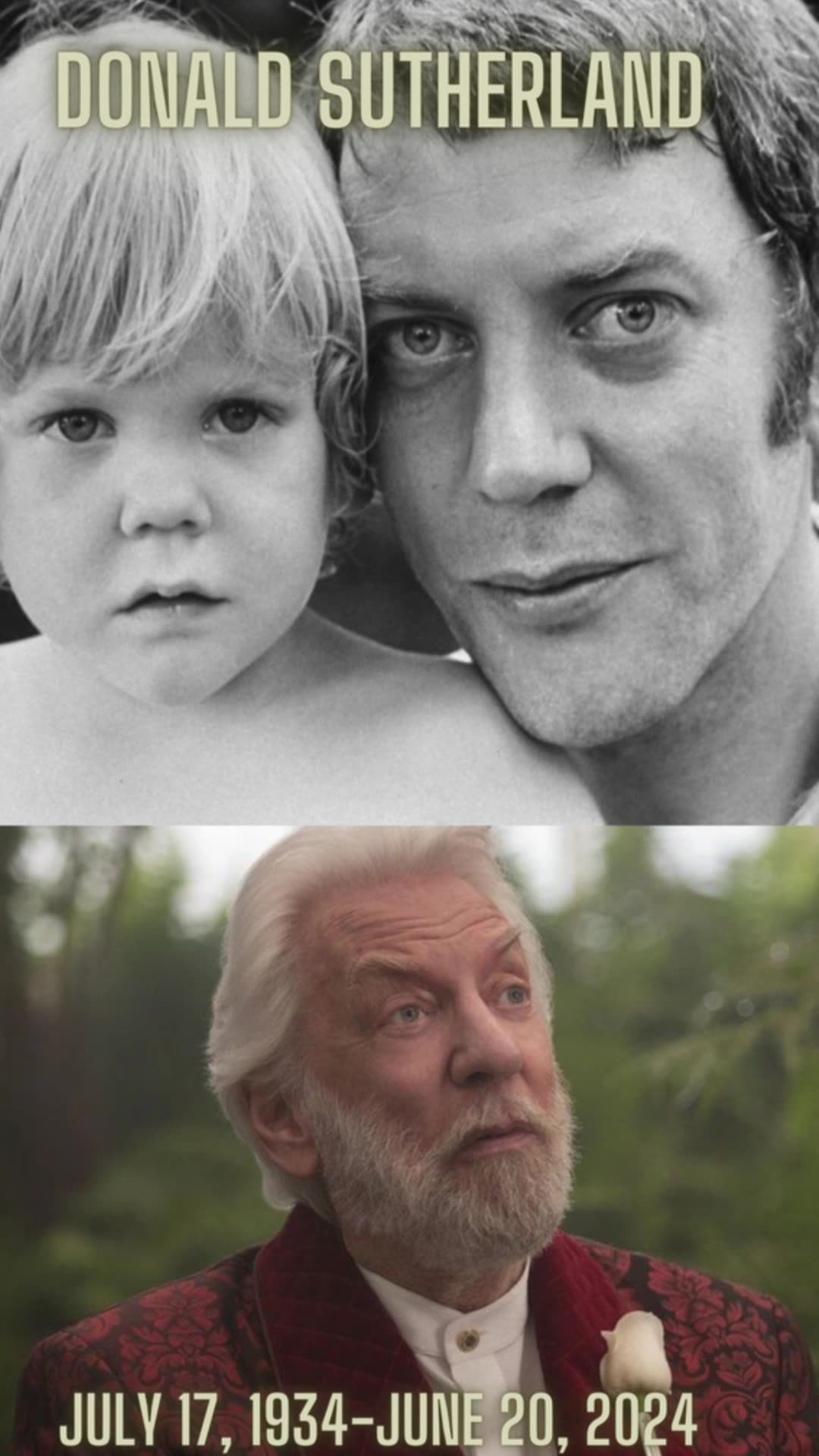 Remembering Donald Sutherland: A Tribute to a Hollywood Legend #DonaldSutherland #HollywoodLegend