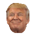 r+trumpvibe
