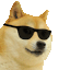 r+cooldoge
