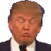 r+trumpnod