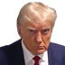 r+trumpmugshot